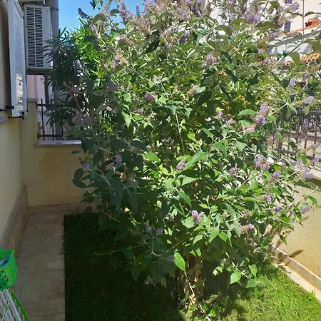 Vida Hébergement de vacances *